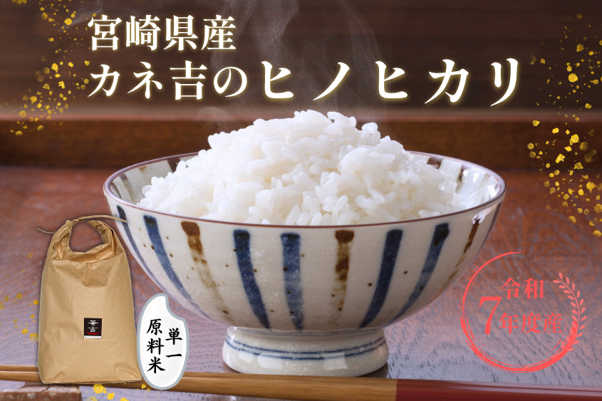 ヒノヒカリ